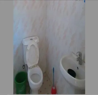 loo